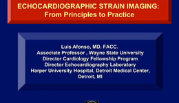 Echocardiographic Strain Imaging