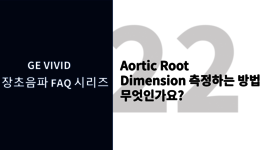 Aortic Root Dimension 측정하는 방법은 무엇인가요? ...
