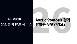 Aortic Stenosis 평가 방법은 무엇인가요?