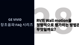 RV의 Wall motion을 정략적으로 평가하는 방법은 무엇일까요? ...