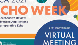 SCA Echo Week 2021 – Solutions in the CVOR and Structural I ...