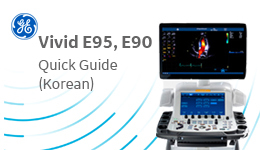 VIVID E95, E90 Quick Guide - Korean