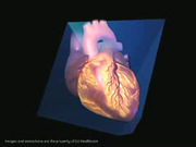 4d_full_volume_with_9-slice-imaging.jpg