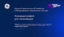 Эхокардиография для начинающих
