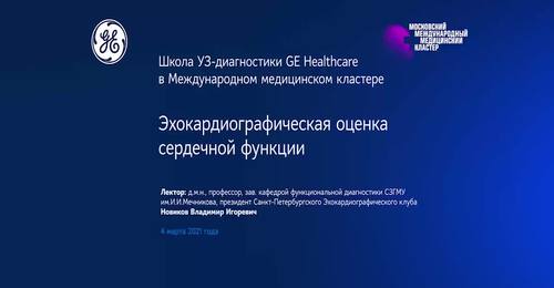 Эхокардиографическая оценка сердечной функции