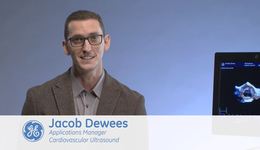 Vivid E9: Two Approaches to Easy 4D Acquisition - Volumes & Morphology