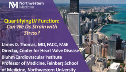 Quantifying LV Function: Can We Do Strain with Stress?