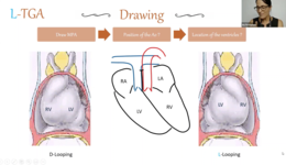 Imaging in Transposition