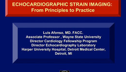 Echocardiographic Strain Imaging