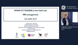 ESC 2019 - Echo-CT Fusion in the Cath Lab - Prof. Coisne