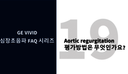 Aortic regurgitation 평가방법은 무엇인가요?