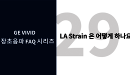 LA Strain 은 어떻게 하나요?