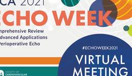 SCA Echo  Week 2021 – Solutions in the CVOR and Structural Intervention