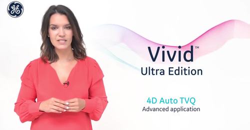 4D Auto TVQ – Ultra Edition