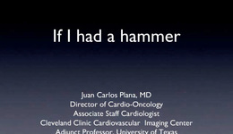 If I had a Hammer