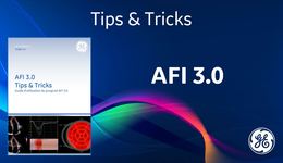 AFI 3.0 Vivid – FR