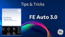 FE Auto 3.0 Vivid – FR