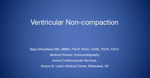 CVUS Tech Expo: Ventricular Non-Compaction with Dr. Bijoy Khandheria